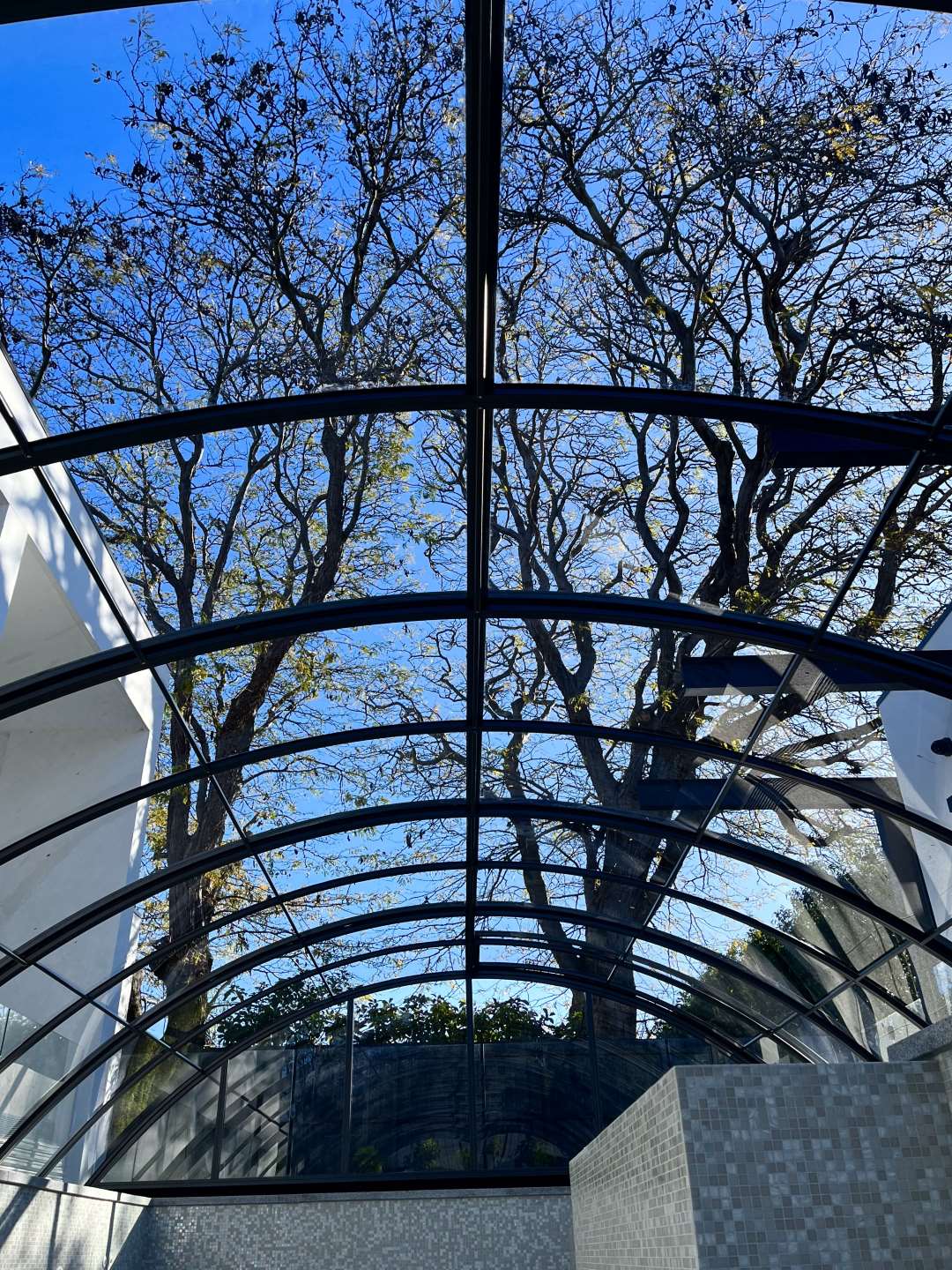 pool -enclosure-roofing-polycarbonate-australia-pool-covers-kbl1