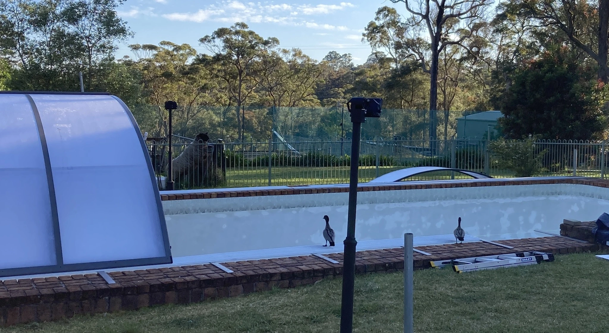 Backyard pool under maintenance with ducks near a telescopic pool enclosure